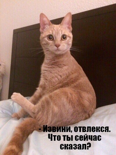       - 1  2025  11:42 - 3