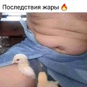  ,  -  17  2025   