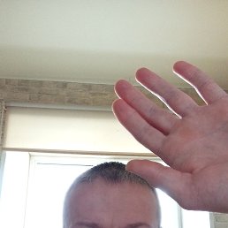 , 45 , 