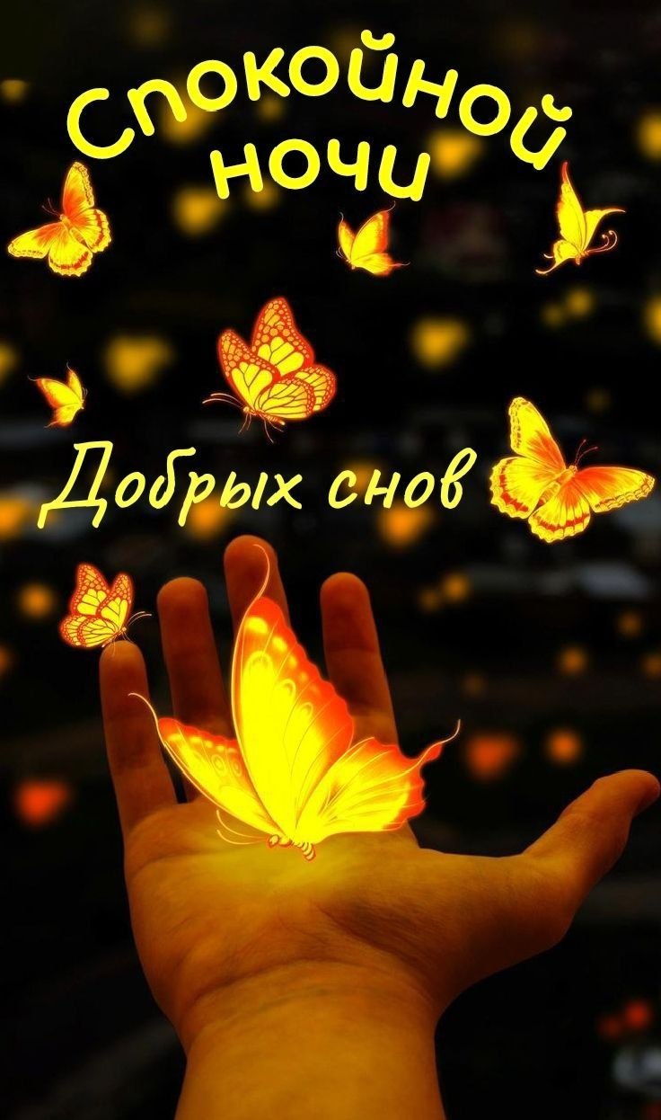 ������ - 31 ������� 2026 � 20:50
