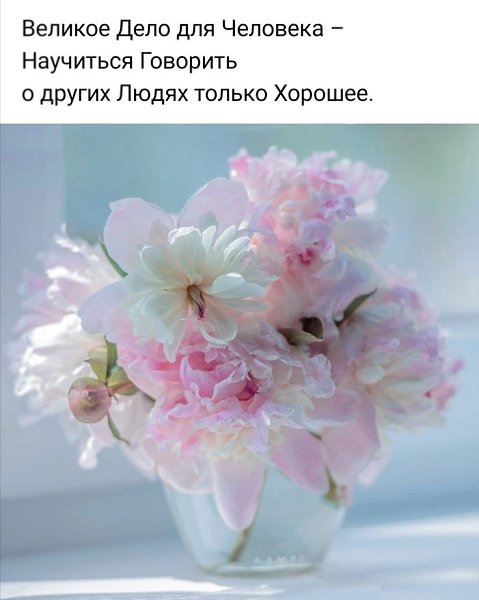   - 6  2025  15:22