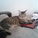 ���� �����, ������, 65 ��� - ��������� 21 ������ 2025 � ������ ������ ��������