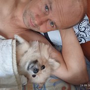 ������, 43 ����, ������ ��������