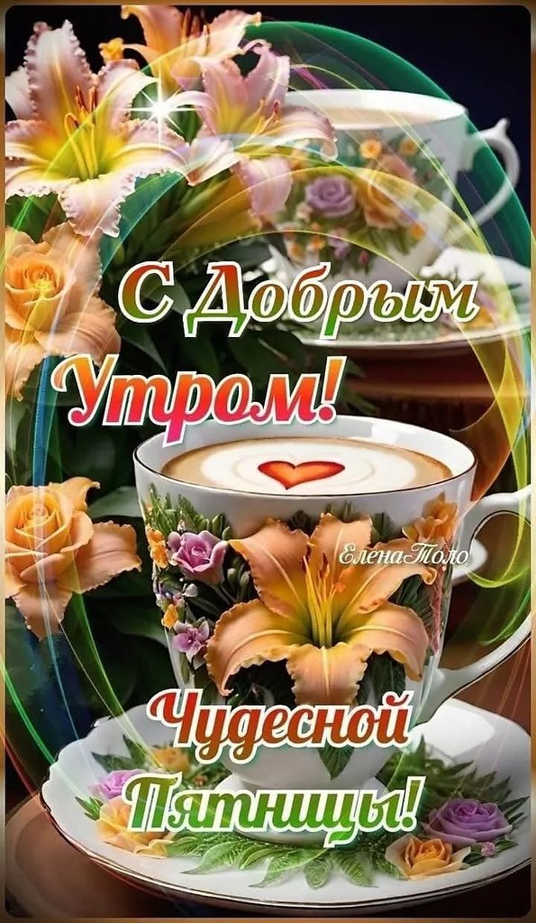 ��� ���� - 29 ��� 2026 � 12:18