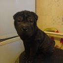 ���� ����, ������-��-����, 58 ��� - ��������� 1 ������ 2026