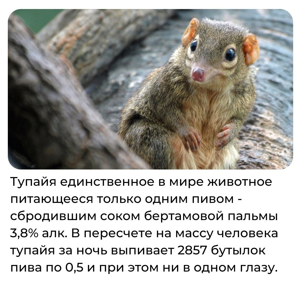 Discovery - 18  2025  05:05