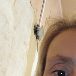 ������, ������, 51 ���