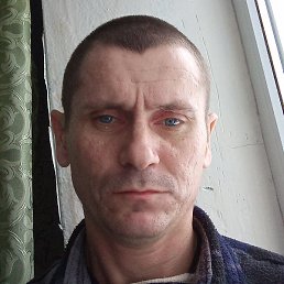 �����, ������, 41 ���