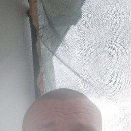 , 39, 