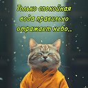 ���� ������, ������, 54 ���� - ��������� 27 ��� 2026
