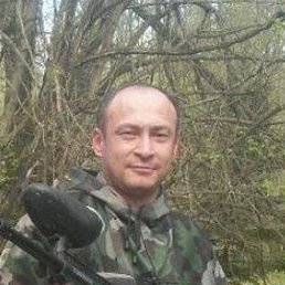 Sarvar, �����������, 42 ����