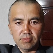 , 41 , 