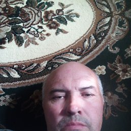  , 49, 