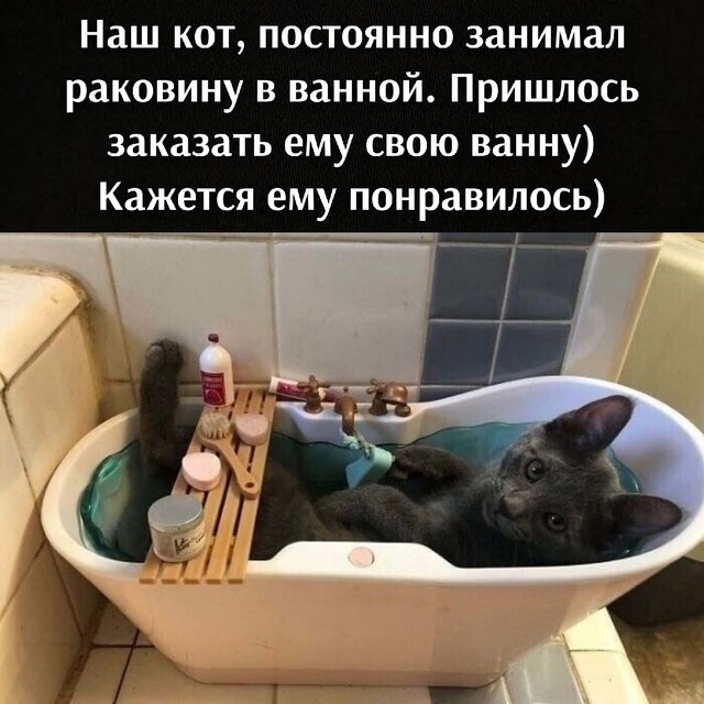       - 6  2025  20:20