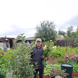 ����, ��-�������, 52 ����