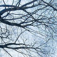 �����, 20 ���, ������