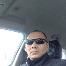 , 44, 