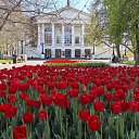 ���� ������, �����������, 61 ��� - ��������� 11 ������� 2025 � ������ ���� ����������