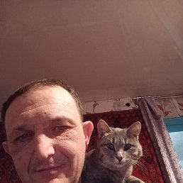 ��������� �������, ������, 39 ���