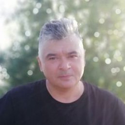 , , 53 