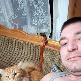 ����, ������, 35 ���