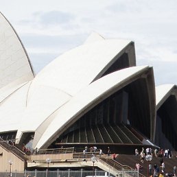 �����, 37 ���, ���������