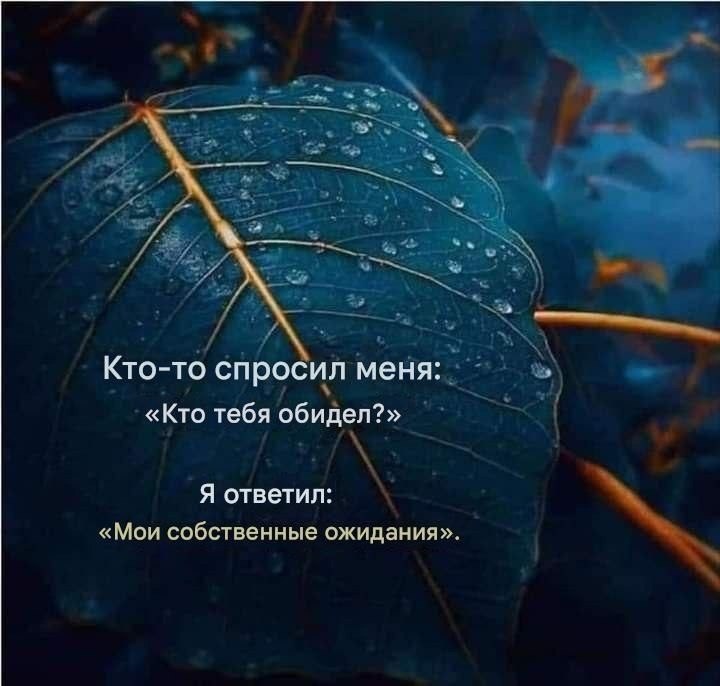   - 8  2025  15:53