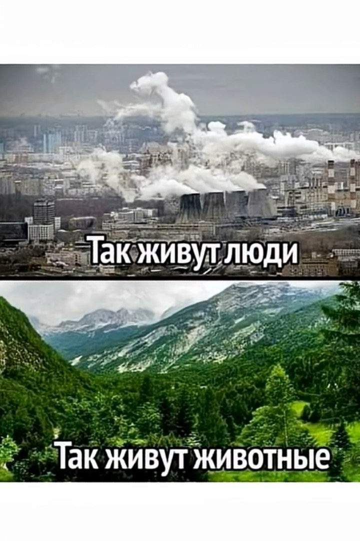 Nastasya - 11 ������ 2026 � 10:11