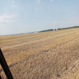 ������, �������, 38 ���