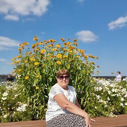 �������� ����, �����, 68 ���