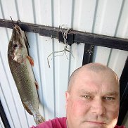 , 49 , 