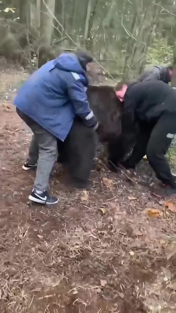       ..