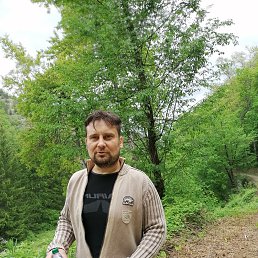 , 46, 