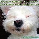 ���� *��������� * !!!, ������ - ��������� 25 ������ 2025 � ������ ���� ����������