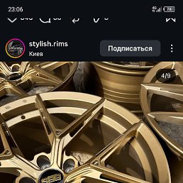 Dalier, �������, 36 ���