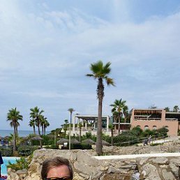  - , , 55  -  26  2024