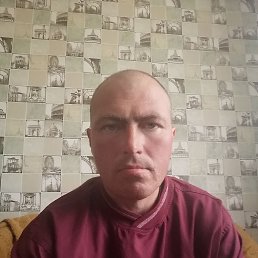 , 36, 
