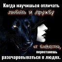 ���� ���������, ���������, 51 ��� - ��������� 21 ������� 2026 � ������ ������ ��������