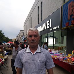 , 56, 