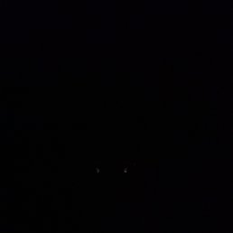 ���� ������, ������, 55 ��� - ��������� 8 ������ 2024