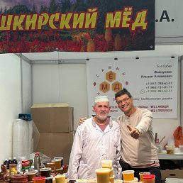 ���������, 66 ���, ����������