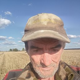  , 61 , 