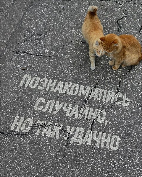 .�������. - 2 ������ 2025 � 02:05 - 5