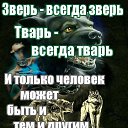 ���� ����, �����, 44 ���� - ��������� 3 ������� 2024 � ������ ���� ����������