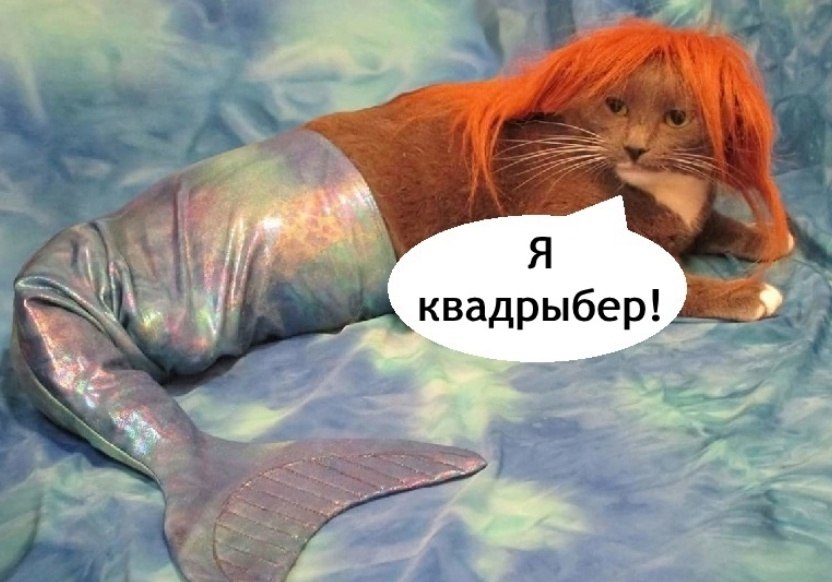    - 2