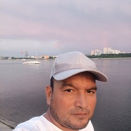 , 43, 
