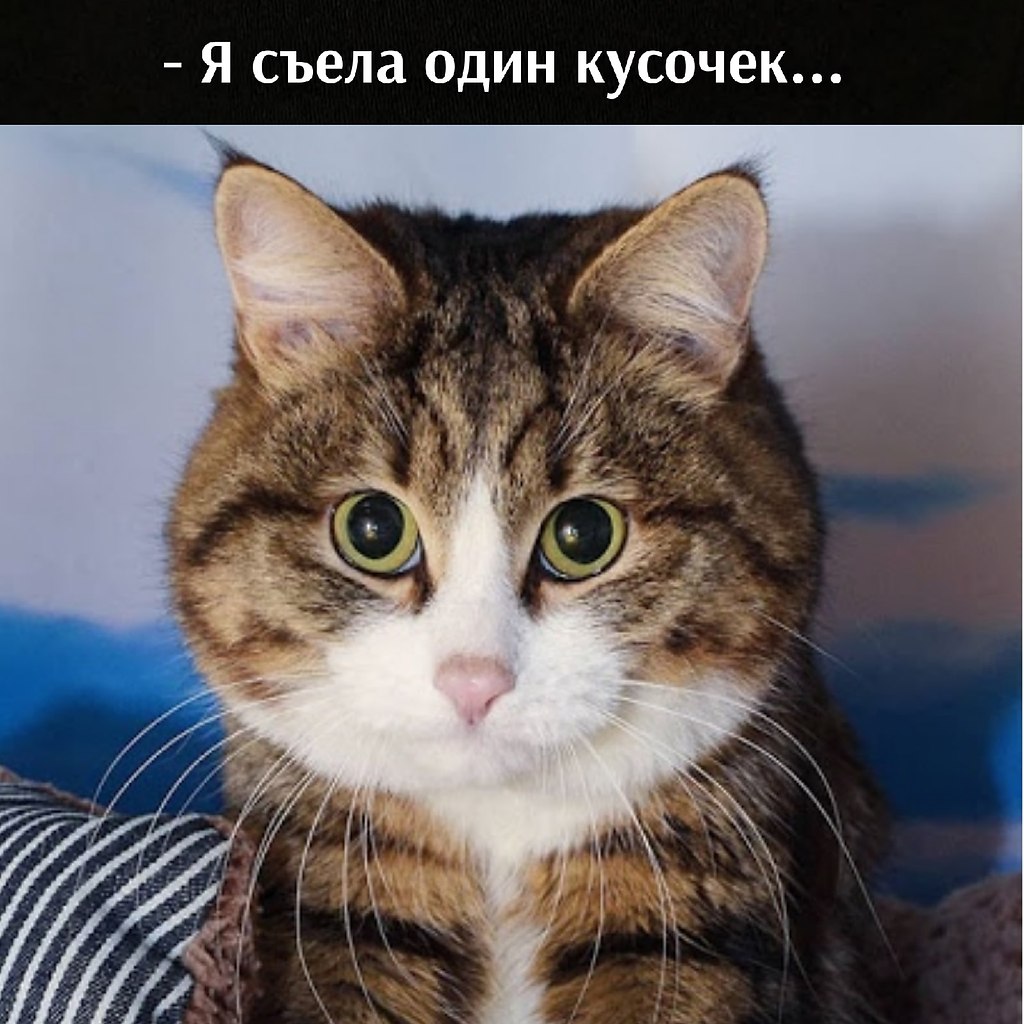       - 1  2025  12:58 - 2