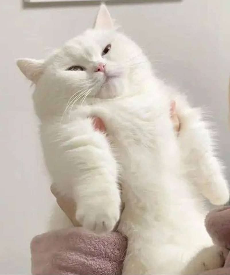   - 2