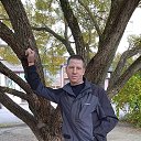 ���� �������, ������, 43 ���� - ��������� 2 ������ 2026 � ������ ���� ����������