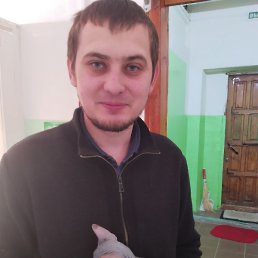 , 31 , 